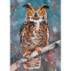Great Horned Owl (260Pcs)