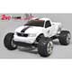 Stadium Truck 2WD Limited Edition RTR (1/6)